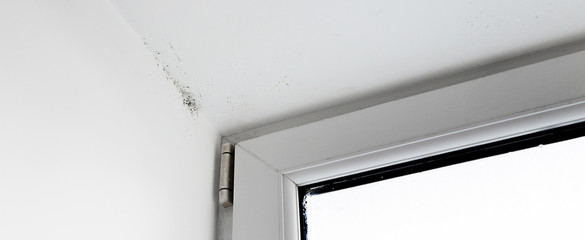 mold on a foggy plastic window of white color Texture background