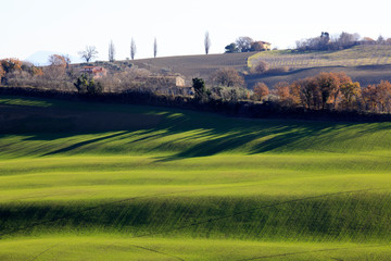 Corinaldo (AN), Italy - January 1, 2019: The landscape near Corinaldo village, Corinaldo, Ancona,...