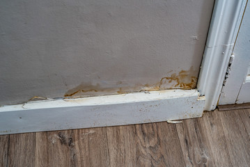 Wasserschaden und Schimmel an Wand und Fussboden Leiste