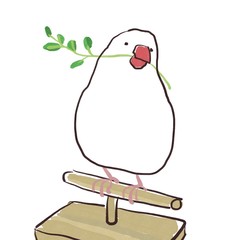 豆苗を食べながらドヤ顔の文鳥