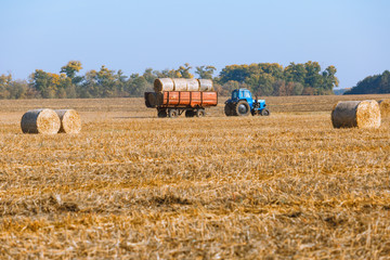Fototapeta premium Hay bail harvesting in wonderful autumn farmers field landscape with hay stacks