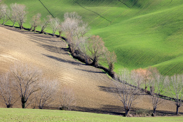 Corinaldo (AN), Italy - January 1, 2019: The landscape near Corinaldo village, Corinaldo, Ancona,...