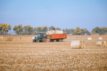 Fototapeta premium Hay bail harvesting in wonderful autumn farmers field landscape with hay stacks