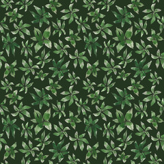 Seamless watercolor pattern with green succulents on dark background. Abstract desert plants, cactus with lines, doodles. Hand painted, textile surface for fabric print, stationery and gift paper wrap