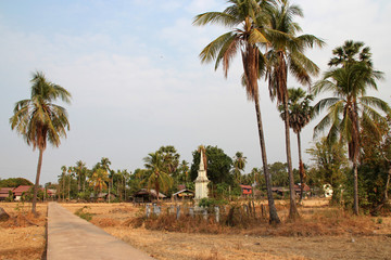 graves and rice fields in a village on khone island (laos)