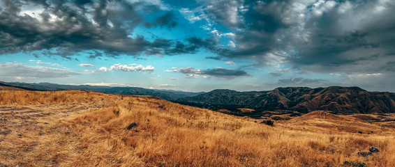 panoramic landscape with yellow grasses and clouds