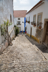 Fototapeta na wymiar Óbidos, Portugal: Enge Gasse mit Treppen aus Kopfsteinpflaster zwischen weiss getünchten und verwitterten Haus Fassaden 