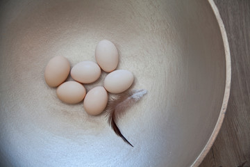 Minimal Easter - Six Eggs with Feather