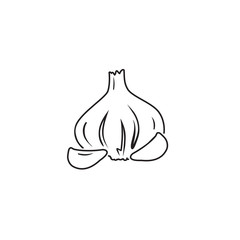 Graphic garlic silhouette line icon. Vector