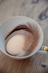 Easter Background - Vintage Cup - Egg with Feather