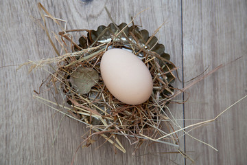 Easter Background - Egg in Nest - Vintage