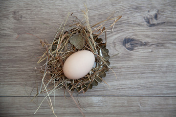Easter Background - Egg in Nest - Vintage