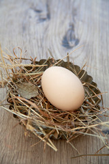 Easter Background - Egg in Nest - Vintage