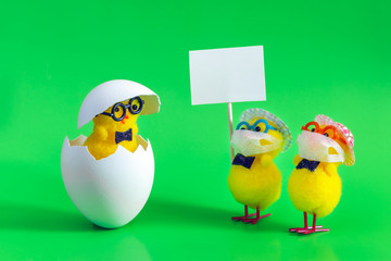 Chickens in masks with a sign for copy space, meet the hatched chicken. The concept of protection...