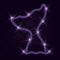 Mermaid tail with mermaid scales and glitter effect  vector illustration © sasa