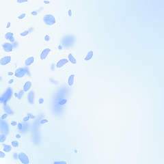 Dark blue flower petals falling down. Surprising r