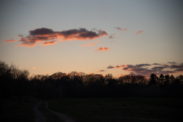 Dresden in Quarantäne 