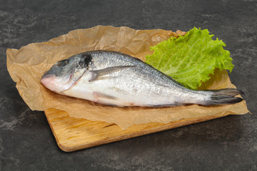 Raw Dorada fish  for cooking
