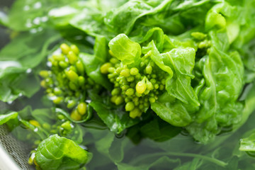 春野菜のなばなのイメージ写真