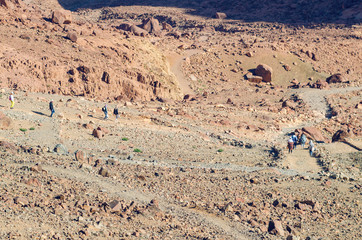 Tourists descend from Mount Moses at sunrise