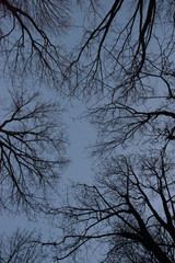 Dresden in Quarant&auml;ne 