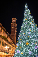 A view of Verona Italy Christmas tree