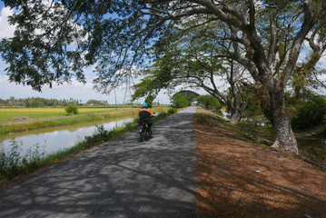 Obraz premium A motorcycle pass through a small road surrounded by a river trees and paddy field at small village at Kedah Malaysia.
