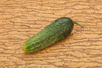 Green ripe fresh cucumber over background