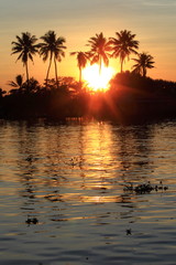 Obraz na płótnie Canvas silhouette of palmtrees in the sunset