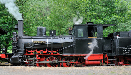 kuckucksbähnel im bahnhof elmstein