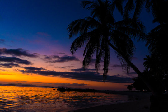 Colorful sunset on the ocean. Sunset meetings at the beach. Tropical sunset with palm trees