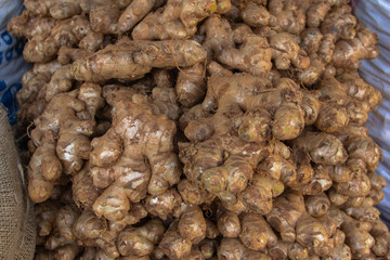 Fresh organic ginger on food market. Ginger harvest. Group of fresh ginger.