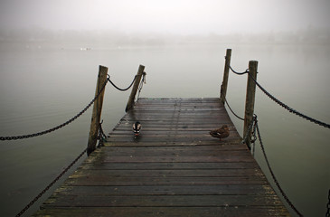 Naklejka premium Small wooden jetty on the lake, a foggy day