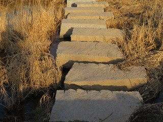 Sunlit stone steps crossing a dry grass creek bed in afternoon light