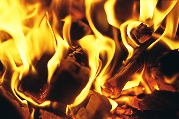 fire in the fireplace. firewood burn in the fireplace.