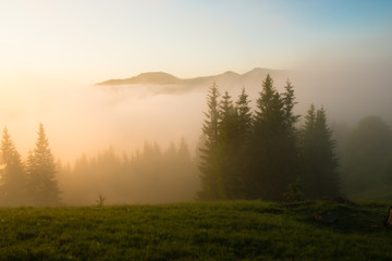 Beautiful foggy landscape in the mountains. Fantastic morning glowing by sunlight.