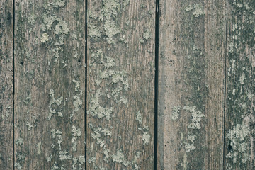Naklejka premium Old wood plank texture grunge abstract background