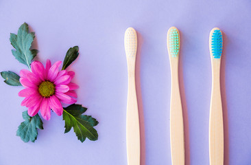 Three bamboo brushes on a purple background and a flower bud as a decor