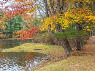 Naklejka premium On small pond in Upstate New York