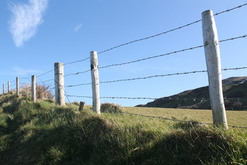 A fence on a grassy hill