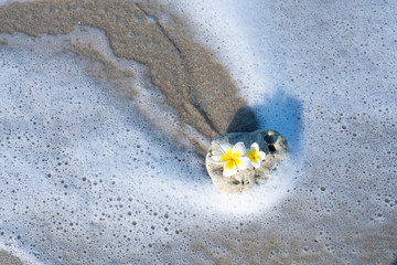 A small stone of an interesting smooth form is washed by waves on the beach. Calm and relaxation by the sea concept
