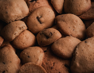 The homemade cookies. Close-up photo.