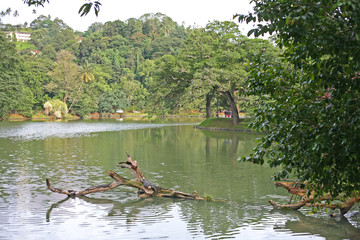 View of Kandy Lake in Sri Lanka