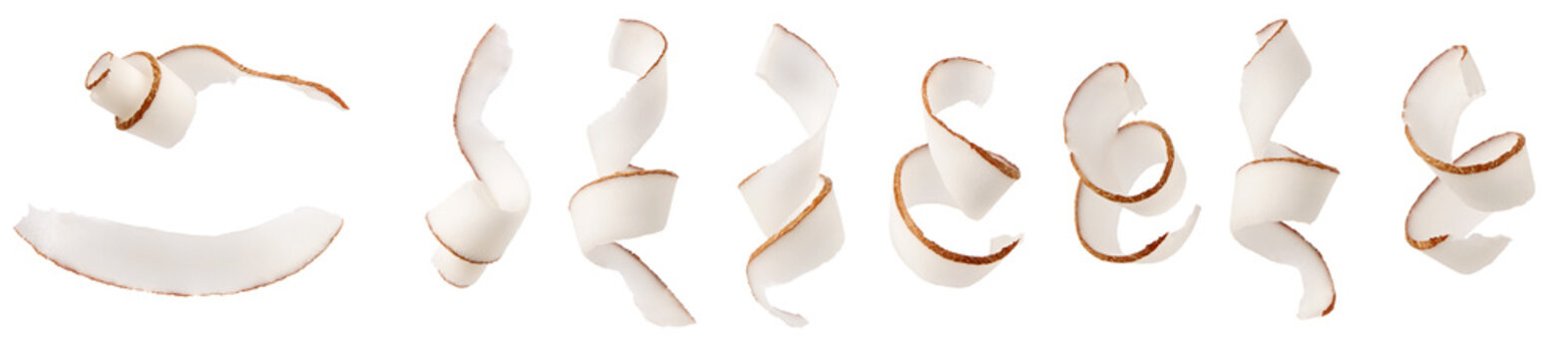 Coconut spiral curl slices set isolated on white background
