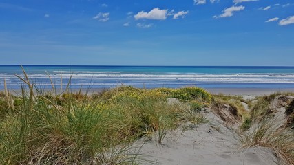 Dunes at the beach of Otaki New Zealand