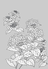 abstract floral background with flowers Japanese design 