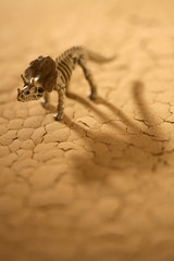 갈라진 땅과 트리케라톱스 공룡