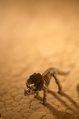 갈라진 땅과 트리케라톱스 공룡