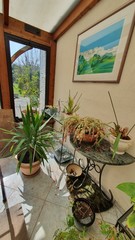 veranda, table, granit, brut, chaise, intérieur, plante