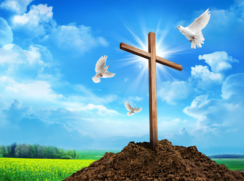 Wooden cross on dirt hill and pigeon against cloudy sky background